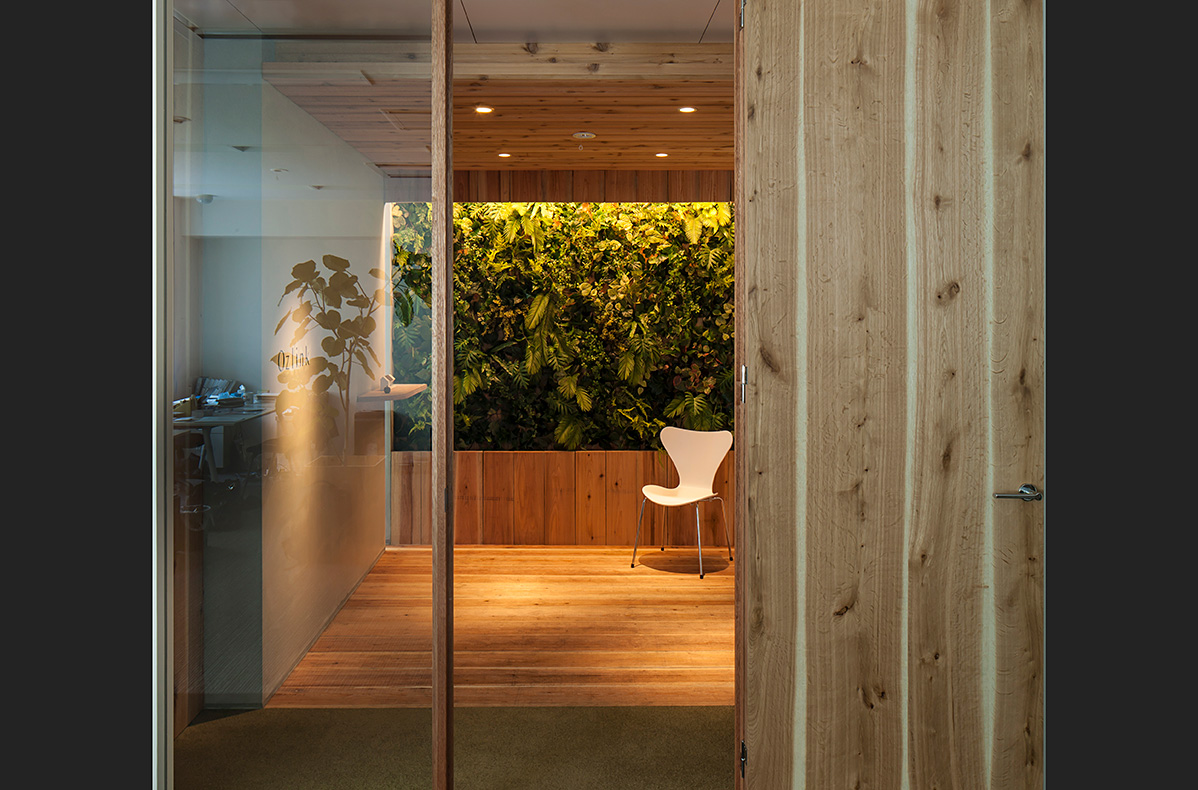 green_wall office_design_photo_001