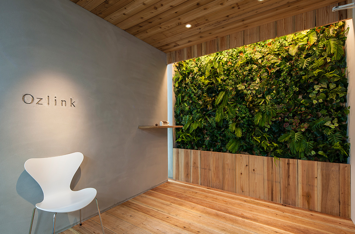 green_wall office_design_photo_005