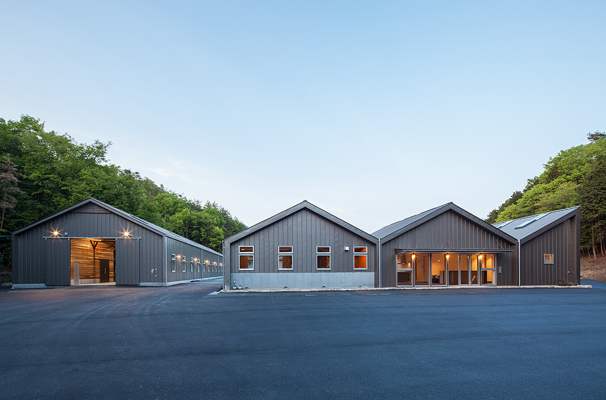 horse_riding_photo_001