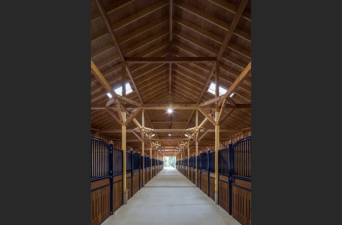 horse_riding_photo_003