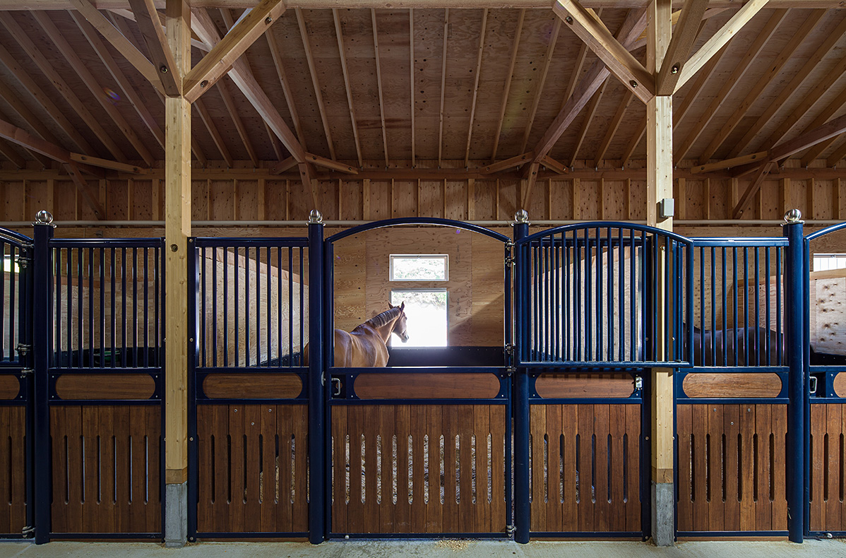 horse_riding_photo_004