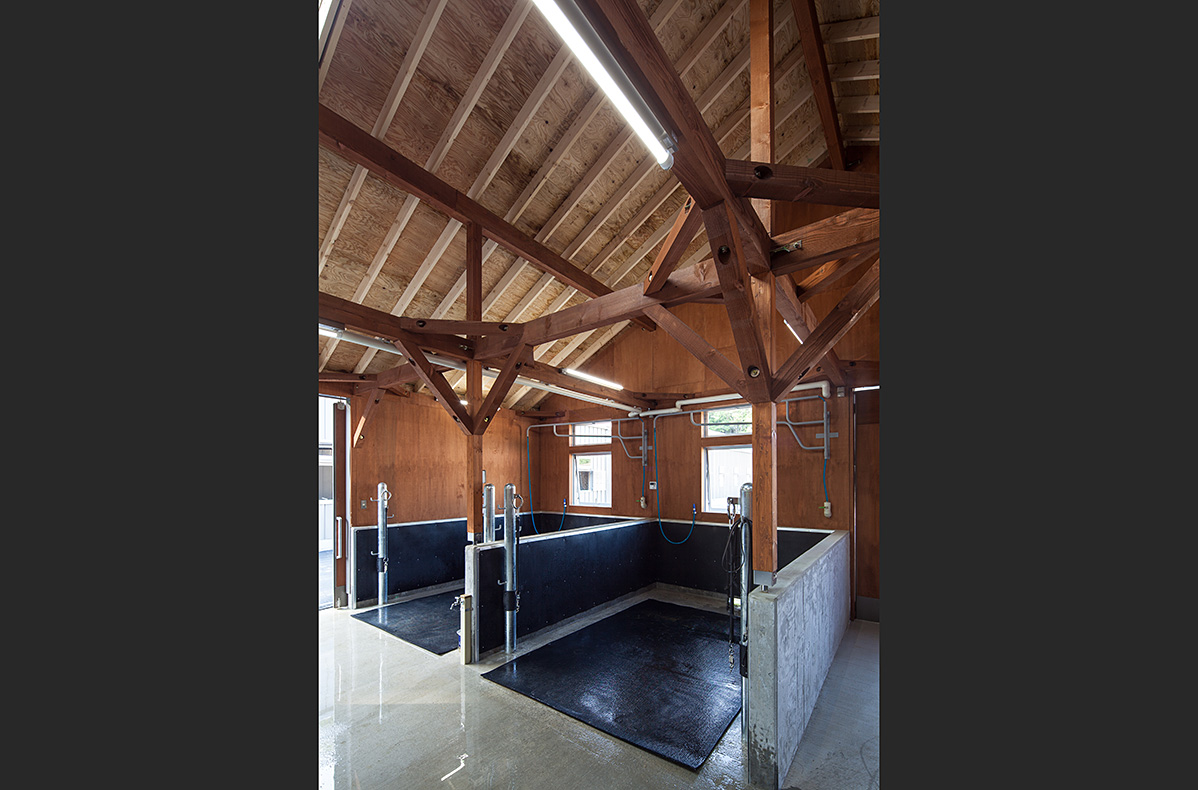 horse_riding_photo_005