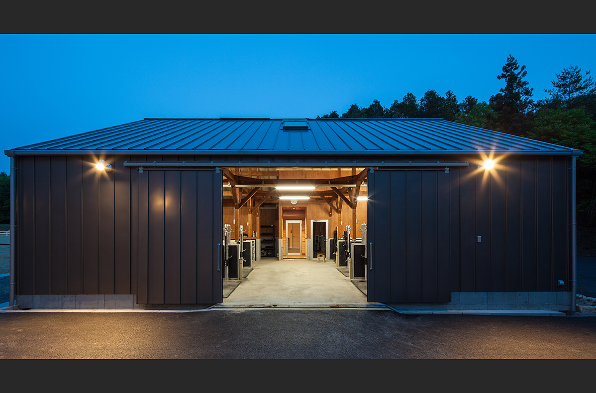 horse_riding_photo_009