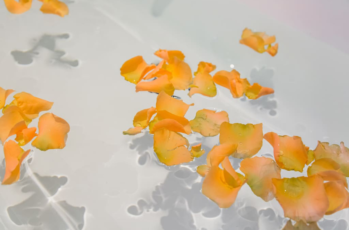 guest_house_kyoto_photo_008