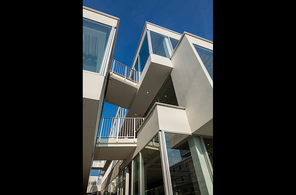 building_the_garden_commune_photo_008