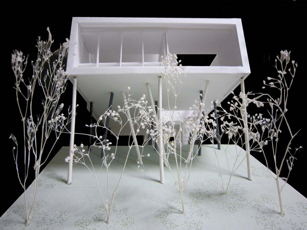 11月22日（イイ夫婦）の家